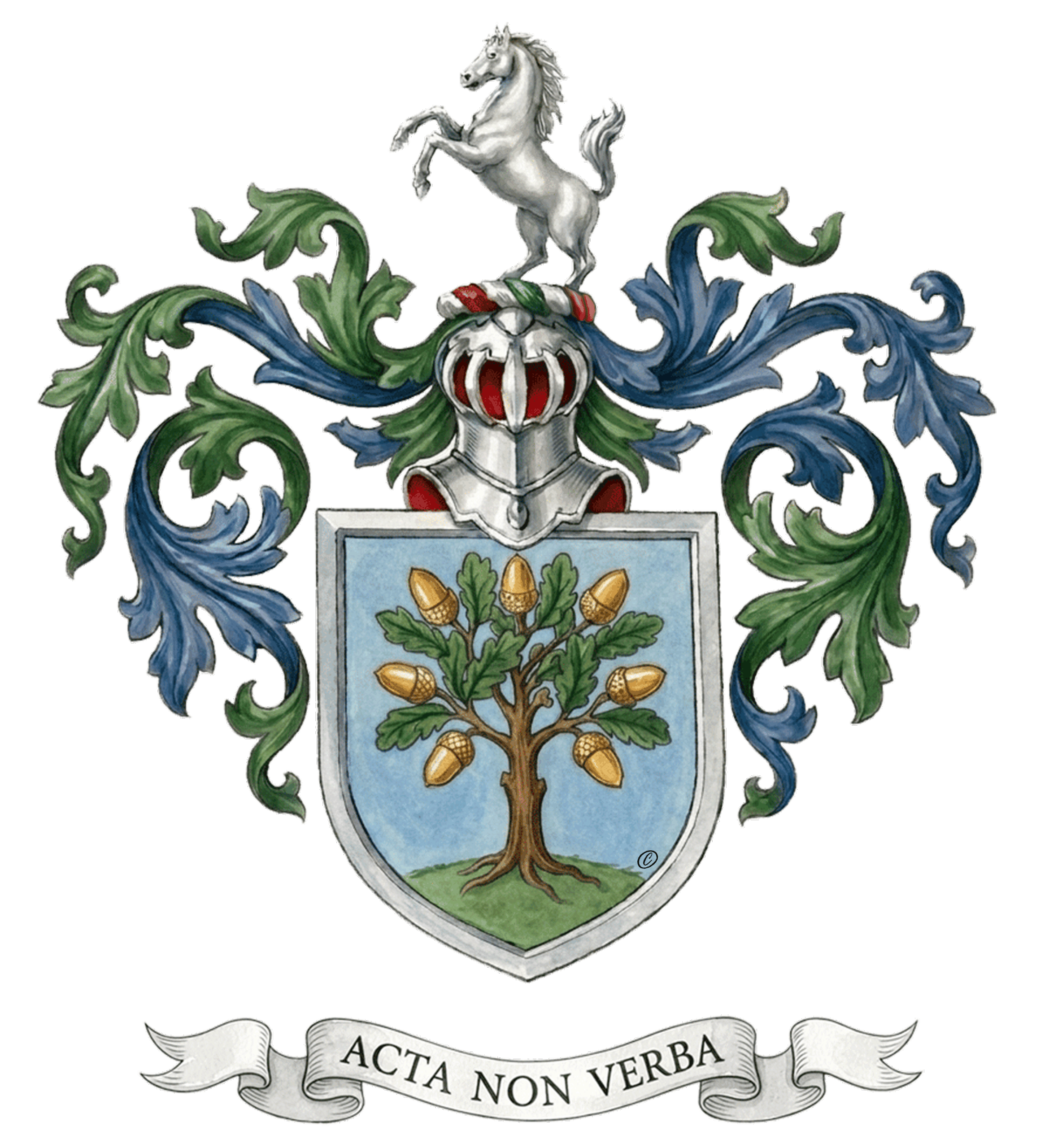 Cavaliere o Dama di Valboscosa ECO - immagine 6
